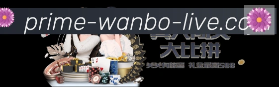 登录器
